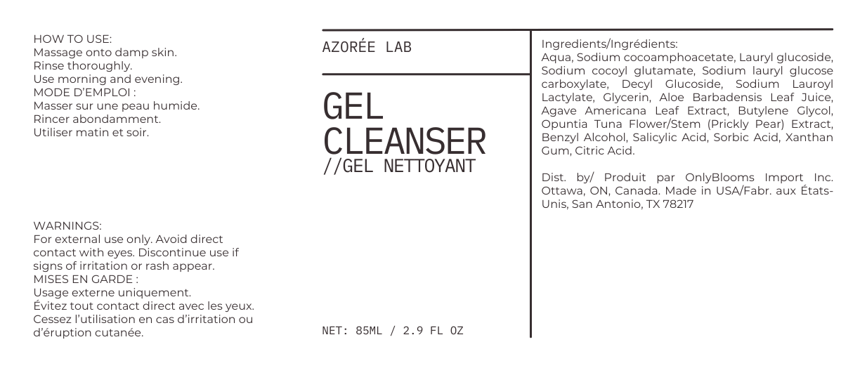Gel Cleanser