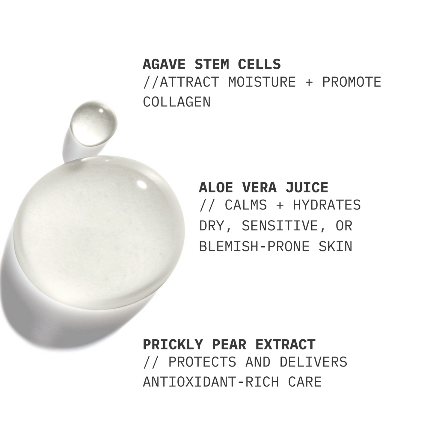 Gel Cleanser // Balancing Prickly Pear Extract + Aloe Vera