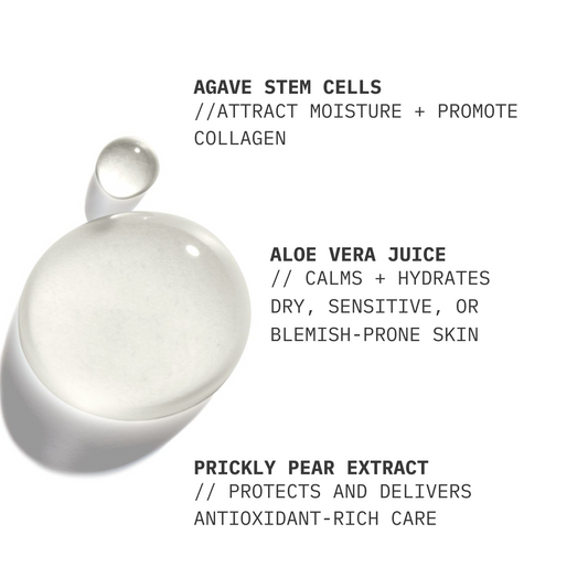 Gel Cleanser // Balancing Prickly Pear Extract + Aloe Vera