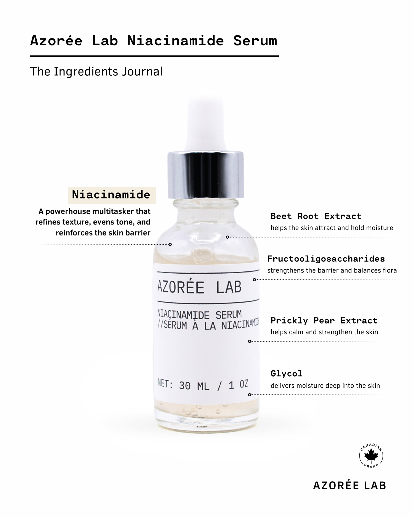 Niacinamide Serum //  Balancing & Brightening