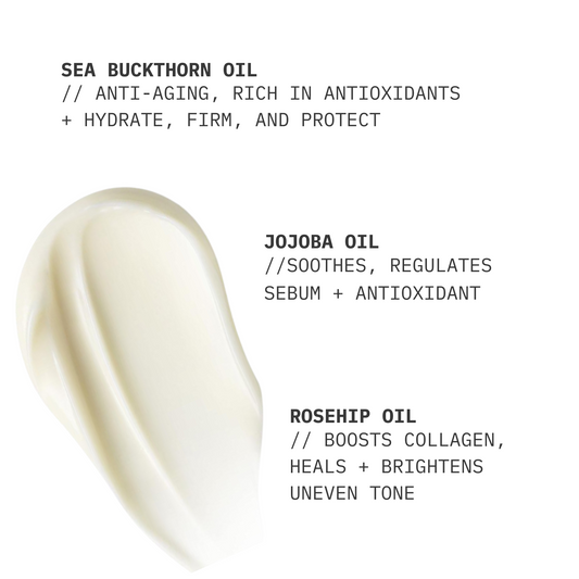 Nighttime Moisturizer // Comforting  Shea Butter + Prickly Pear Extract