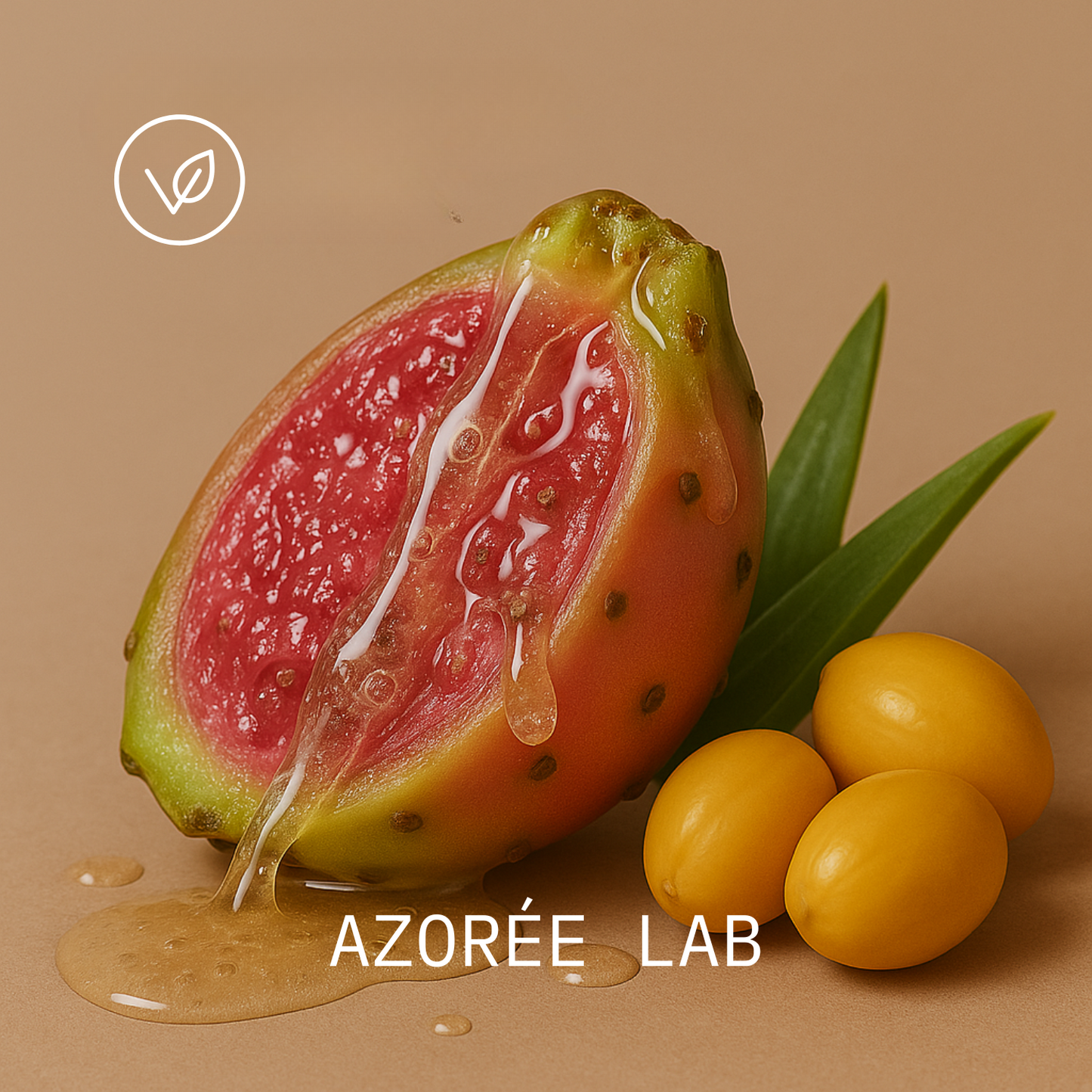 Daytime Moisturizer // Hydrating Jojoba Oil + Prickly Pear Extract