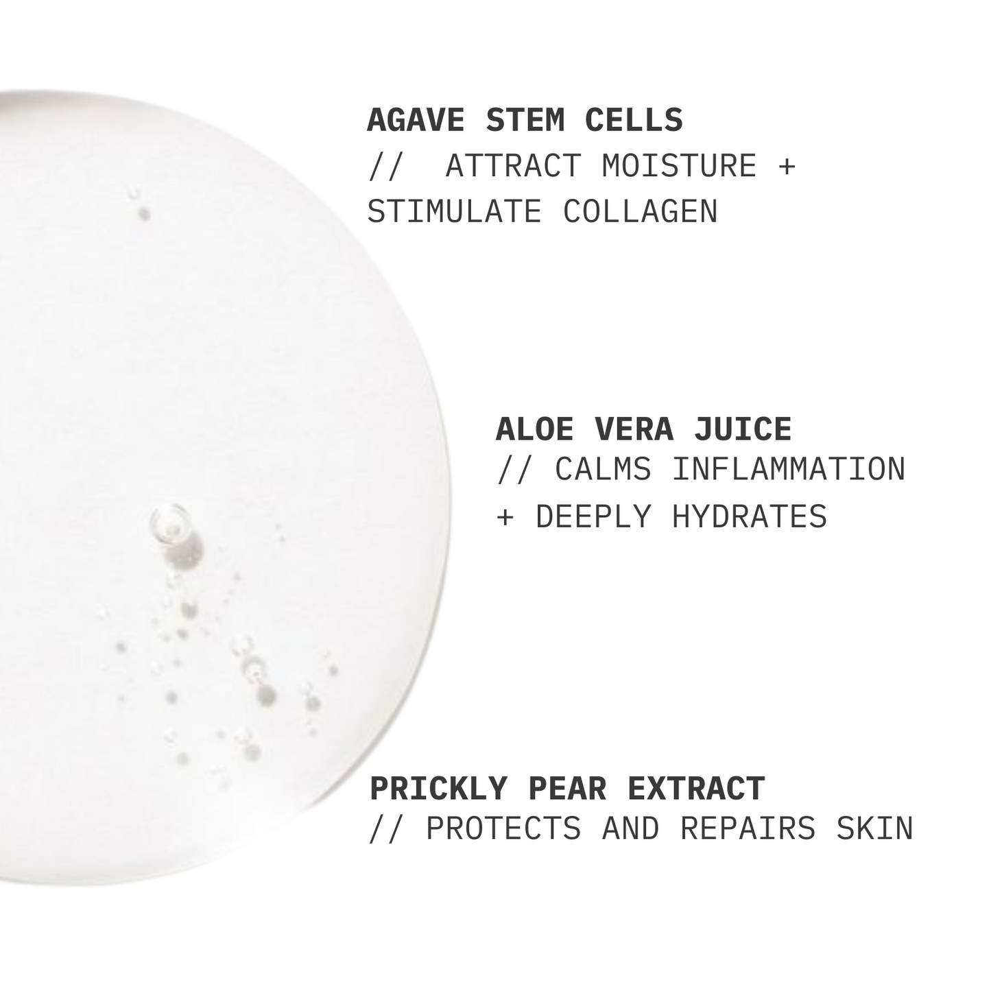 Facial Toner // Balancing Prickly Pear Extract + Aloe