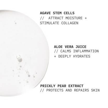 Facial Toner // Balancing Prickly Pear Extract + Aloe