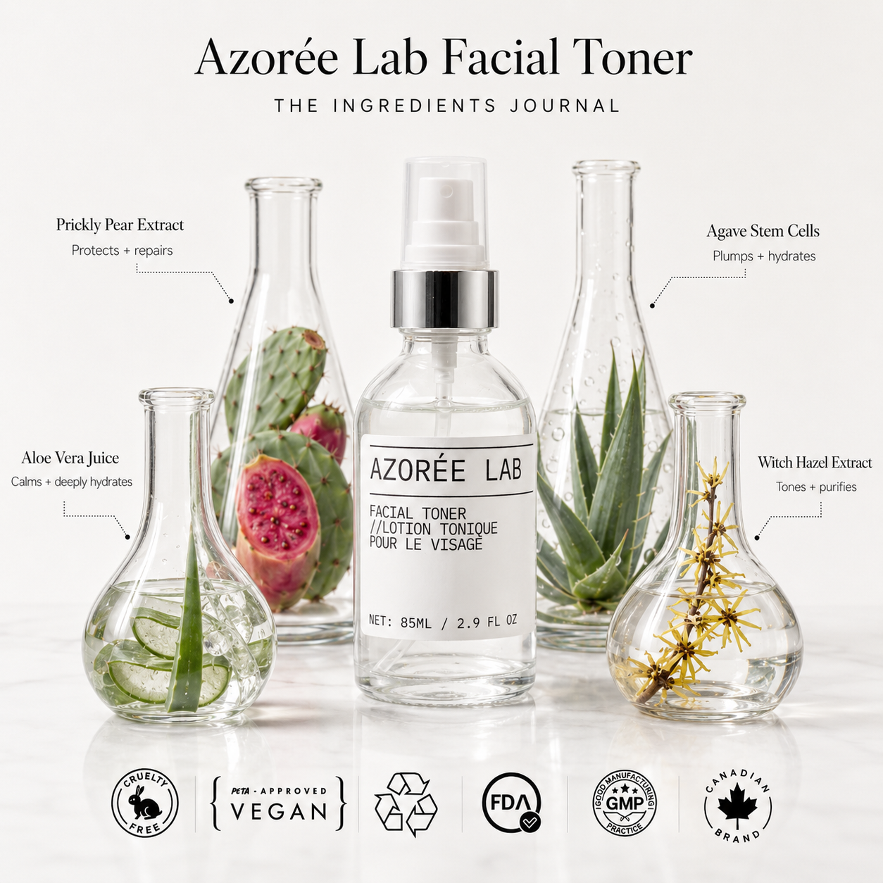 Facial Toner // Balancing Prickly Pear Extract + Aloe